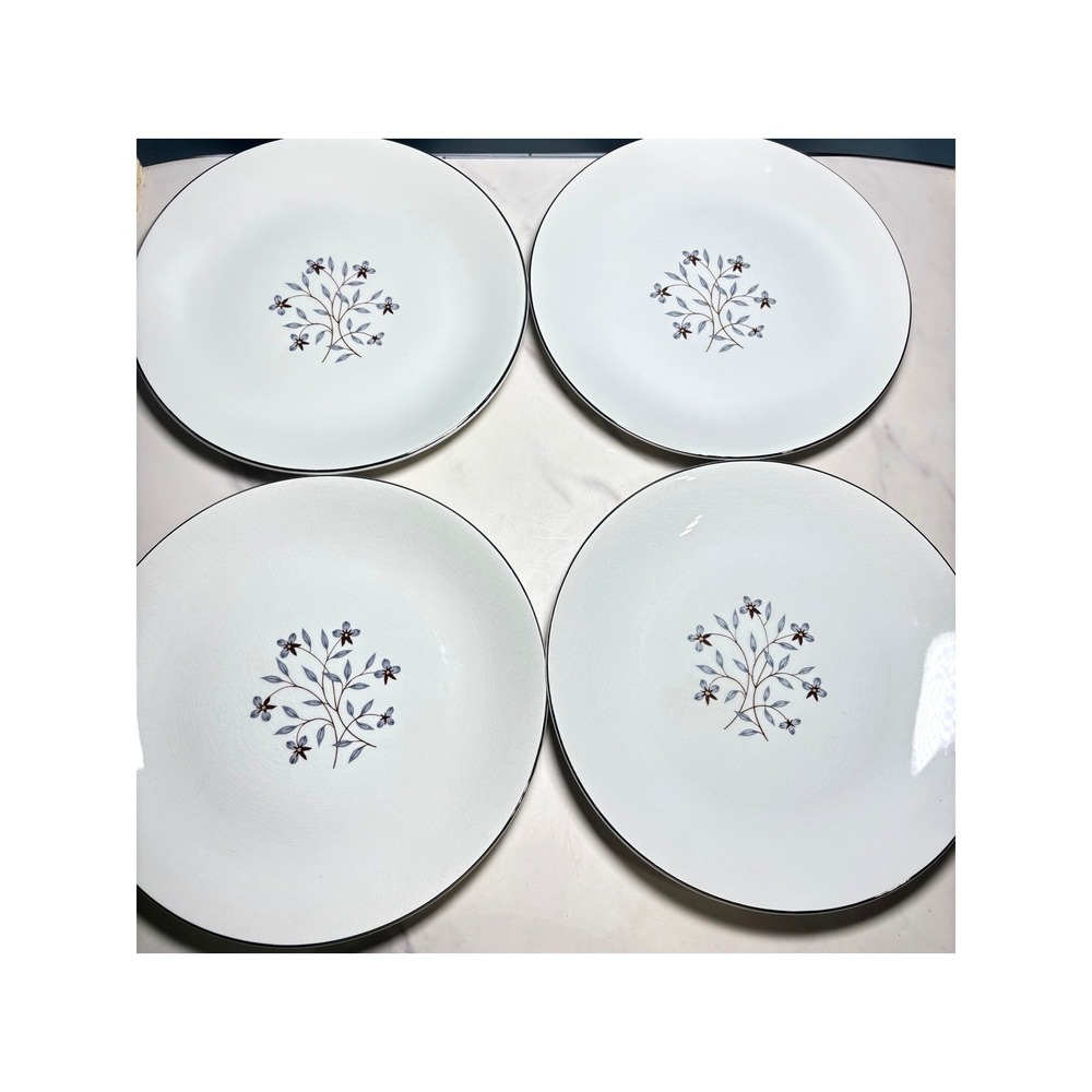 Salem International Ironstone Whimsey Dinner Plates Set of 4 England 10" Vintage